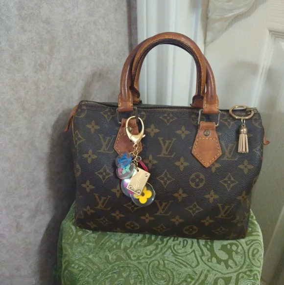 Louis Vuitton Speedy 25 Monogram - Picture 1 of 12